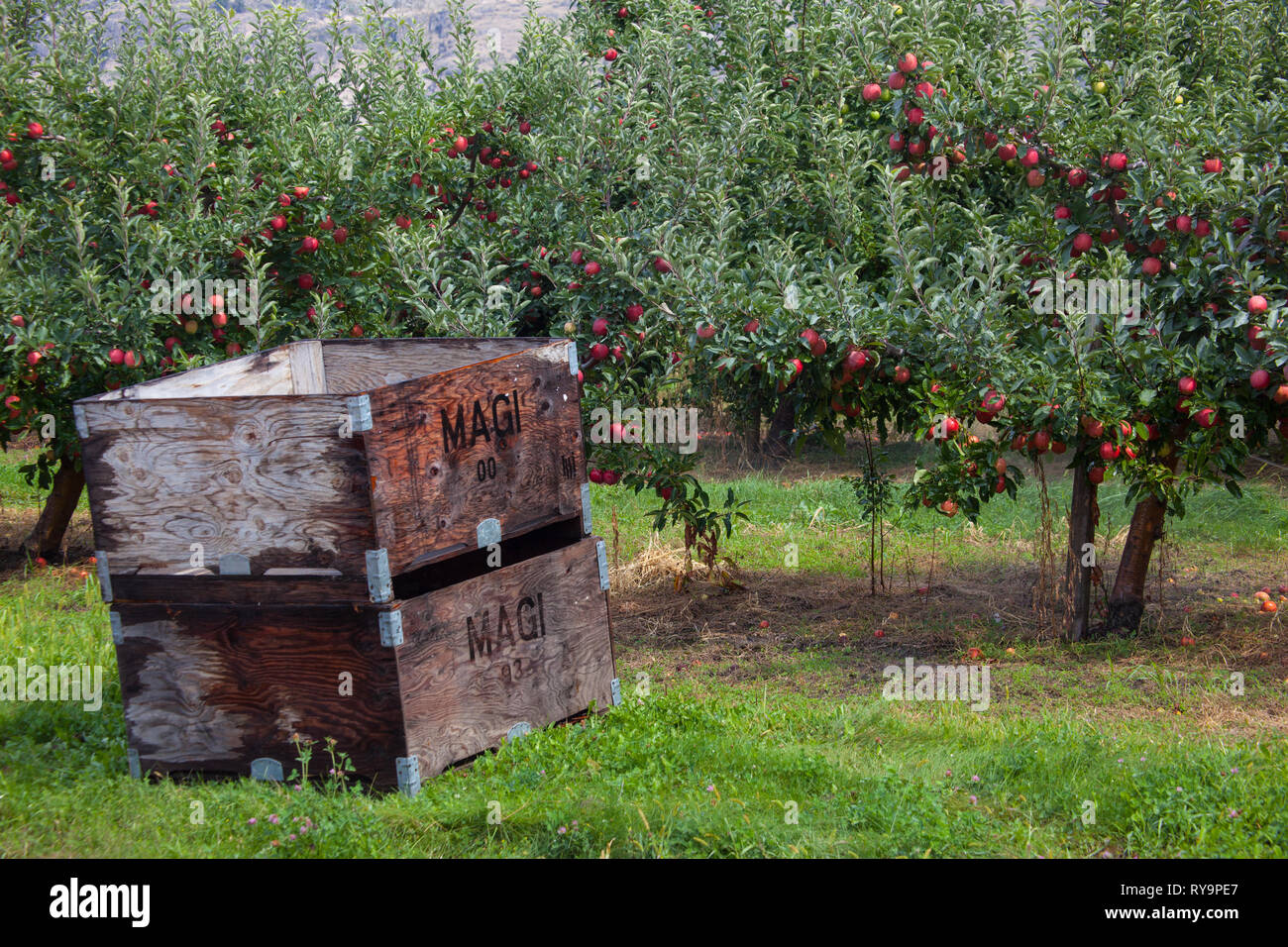 Tonasket, Okanogan County, Washington, USA Stock Photo Alamy