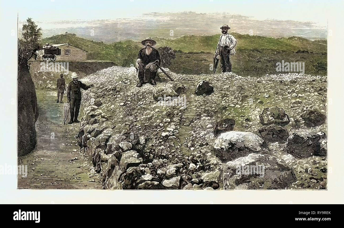 Mass of Quartz Excavated from No. 5 Tunnel in the Elizabeth Lode, Miners Quarters in the