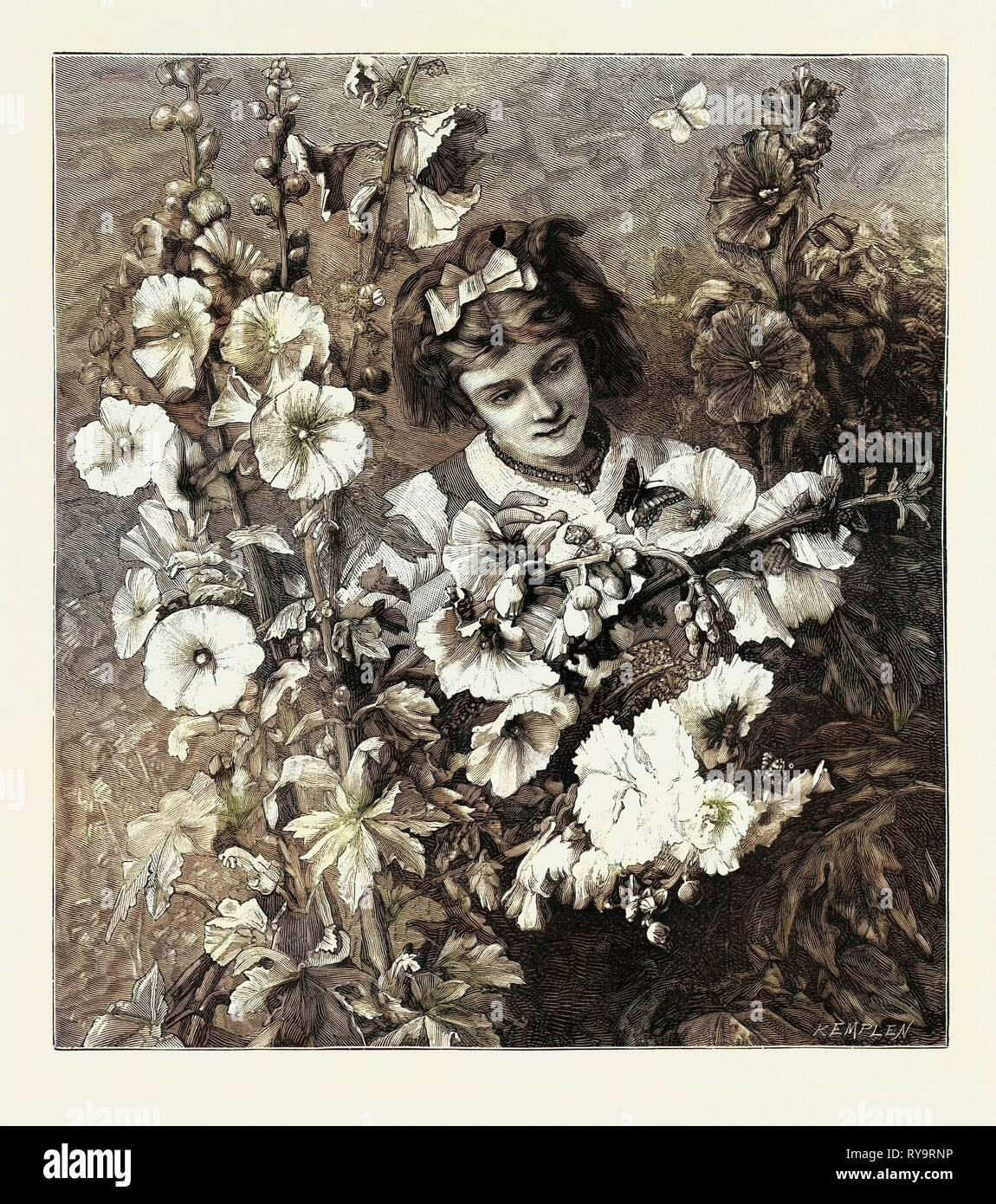 Girl Amongst Flowers, Fashion, Engraving 1882 Stock Photo