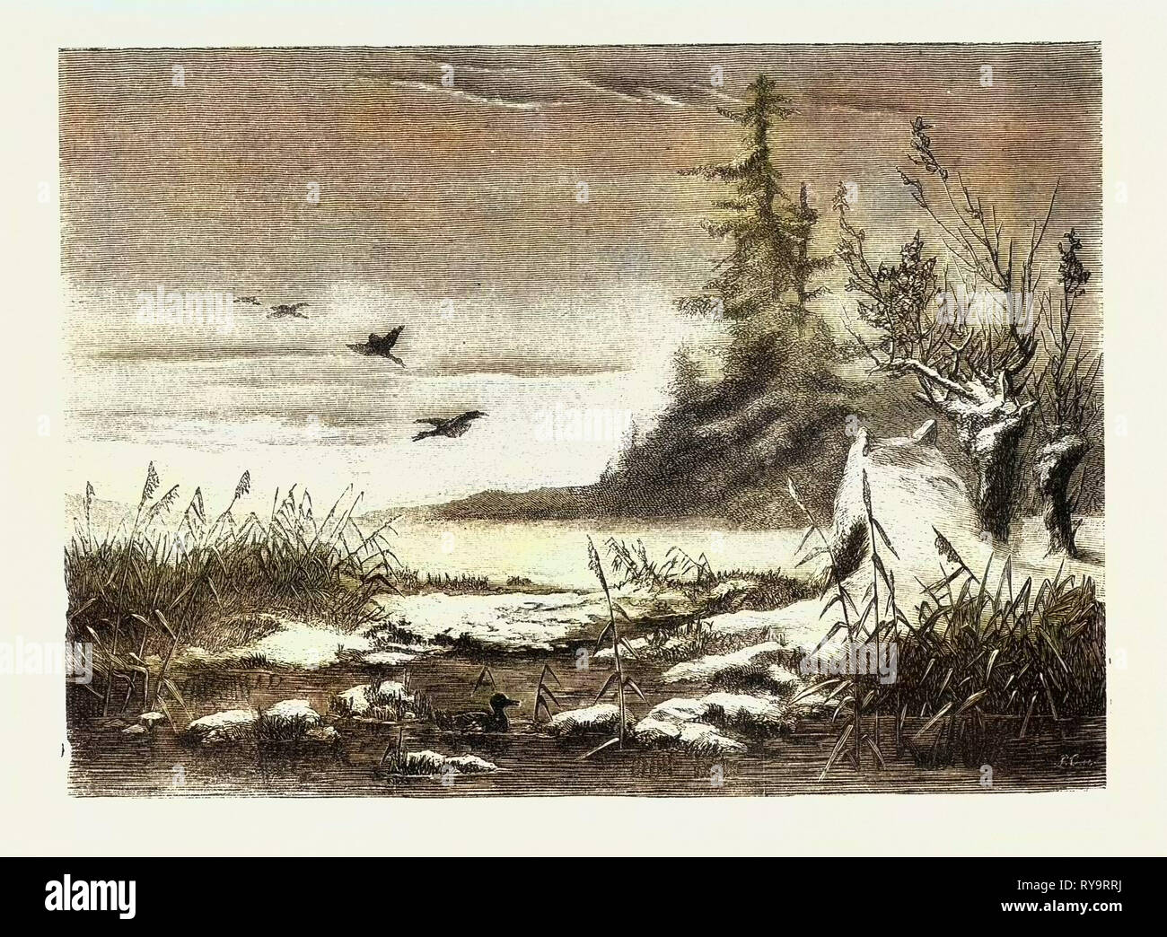 Ambush for Duck Shooting, Engraving 1882 Stock Photo