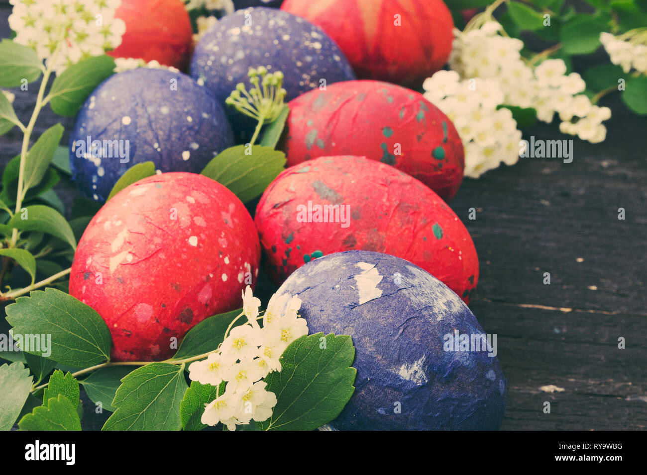 Multicolored dotted Easter eggs Stock Photo