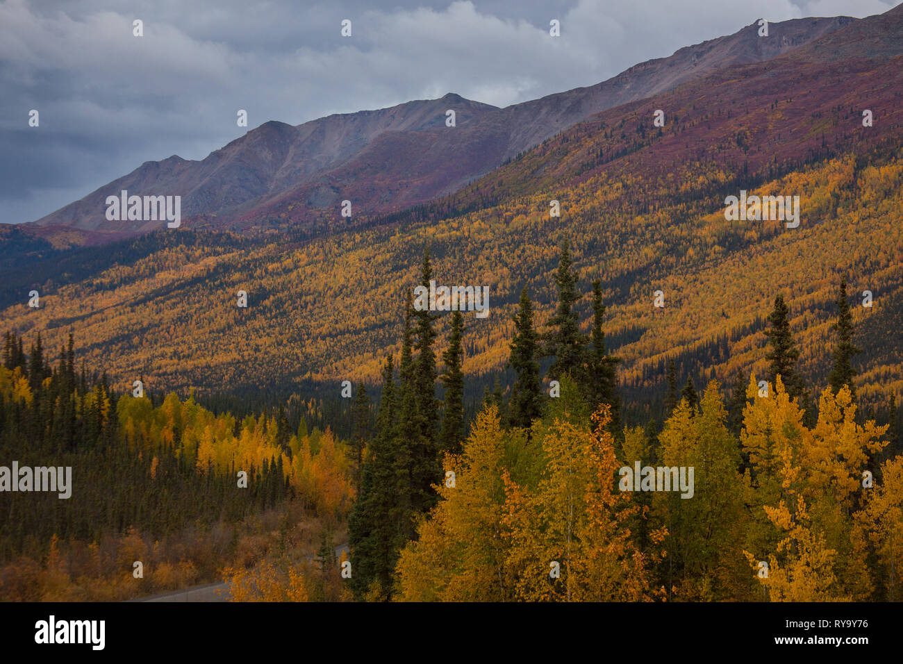 Tombstone Territorial Park, Northern Region, Yukon Territory, Canada ...