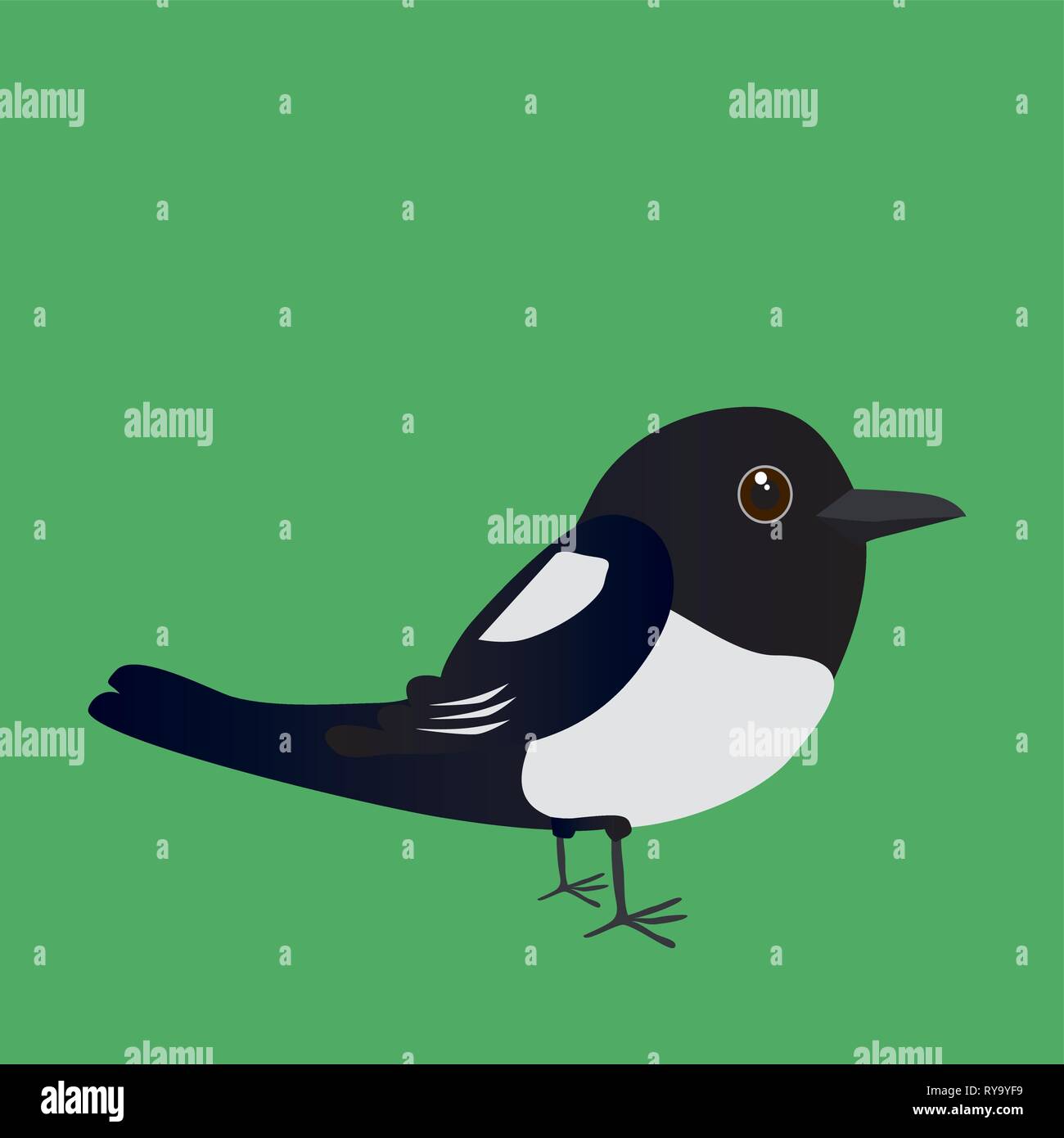 A vector illustration of a cute magpie Stock Vector