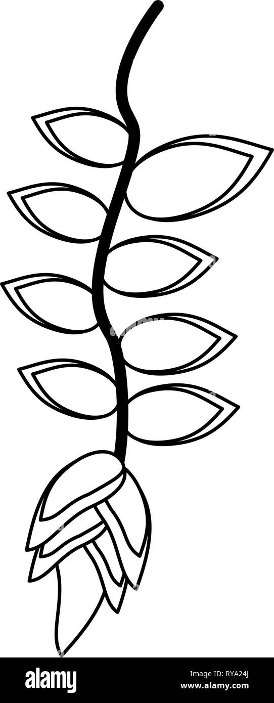 Beautiful flower cartoom isolated in black and white Stock Vector Image ...