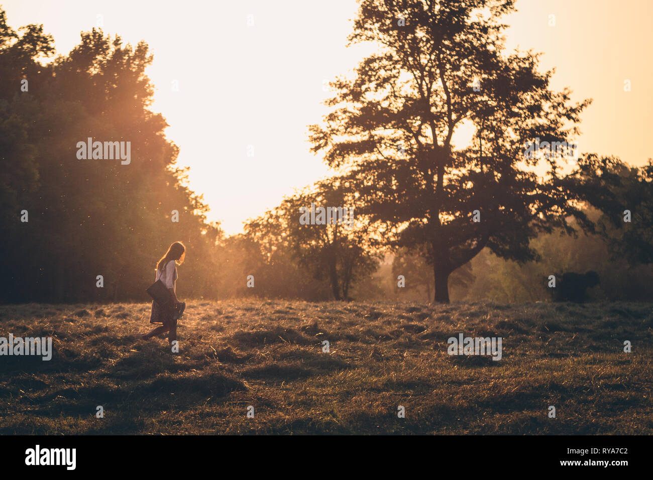 Single woman with long hair walking alone on a field of gras in front of a tree during sunset. Her face is not visible. Stock Photo