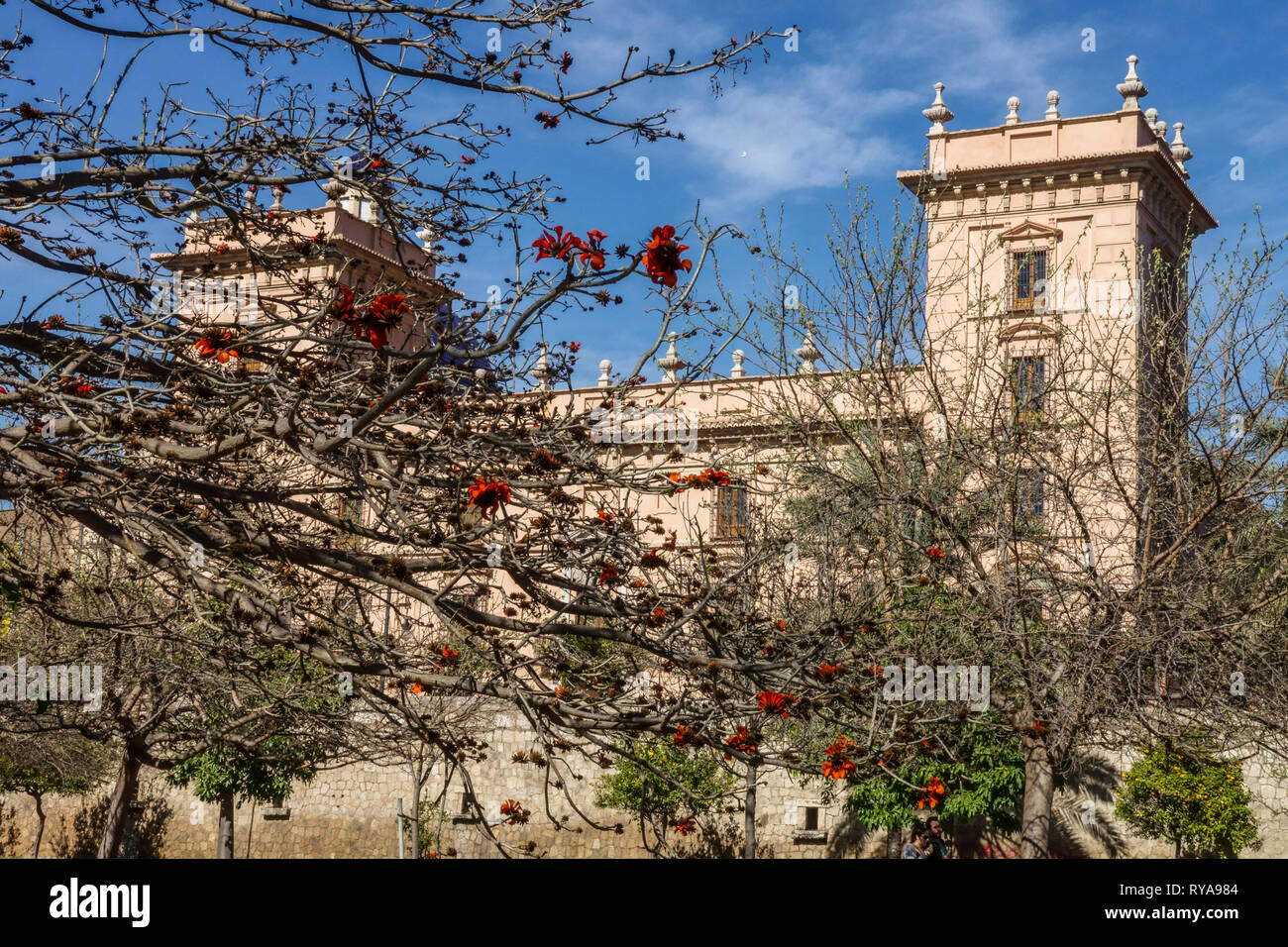 Valencia Fine Arts Museum, Museo de Bellas Artes, view from Turia Park, Spain Stock Photo