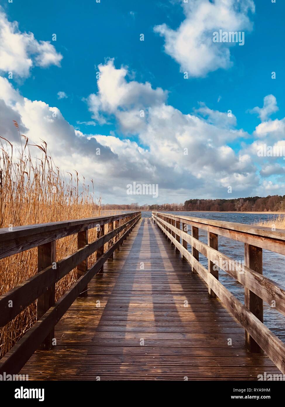 wooden pier at waterside - straight wood dock walkway at lake - Stock Photo