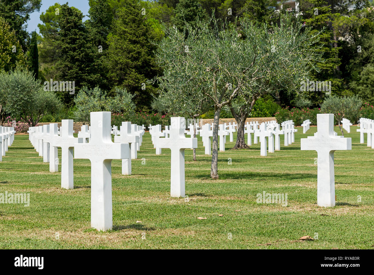 Grabkreuze auf dem Friedhof, zwischen den Grabkreuzen sind Olivenbaeume gepflanzt in Rhone American Cemetery and Memorial, Draguignan, Frankreich Stock Photo