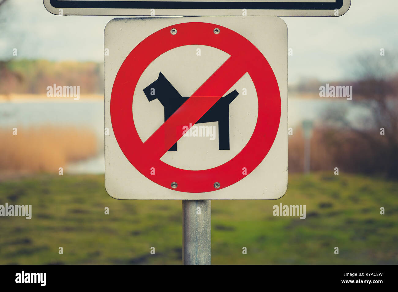 dogs not allowed sign - no dogs sign - dogs forbidden symbol with nature background Stock Photo