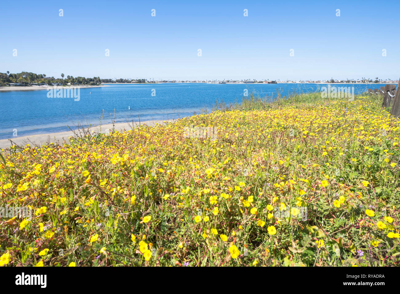 Mission Bay Park photographed on a Spring morning. San Diego