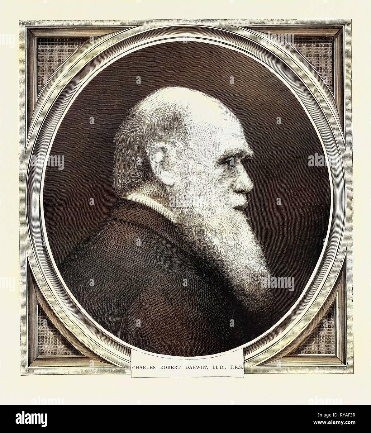 Born february 12 1809 hi-res stock photography and images - Alamy