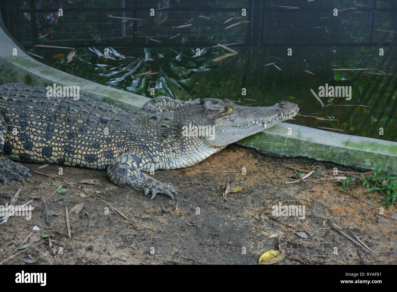 Sultan Abu Bakar High Resolution Stock Photography and Images - Alamy