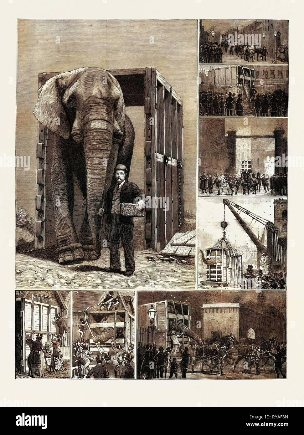 The Removal of Jumbo, on the Way to the Docks: 1. Through His Box at Last, 2. Visitors Inscribing Names on the Box As Having Called, 3. Jumbo Objects to the Irons, 4. At the Park Gates: Jumbo Drives Himself, 5. Albany Street: 'Guard Turn Out', 6. En Route, 'Jumbo's Old Lady', 7. Entering St. Katherine's Dock, 8. In Mid-Air: Being Lowered Into the Barge Stock Photo