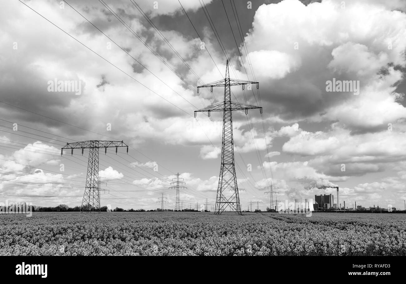 Das Braunkohlekraftwerk Schkopau mit Stromleitungen vor einem Rapsfeld Stock Photo