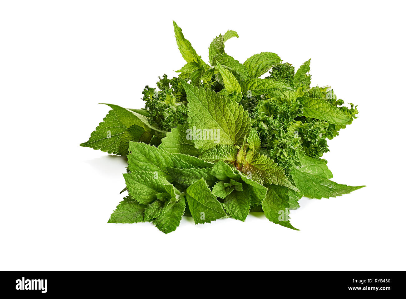 Various kinds of mint leaves on white Stock Photo