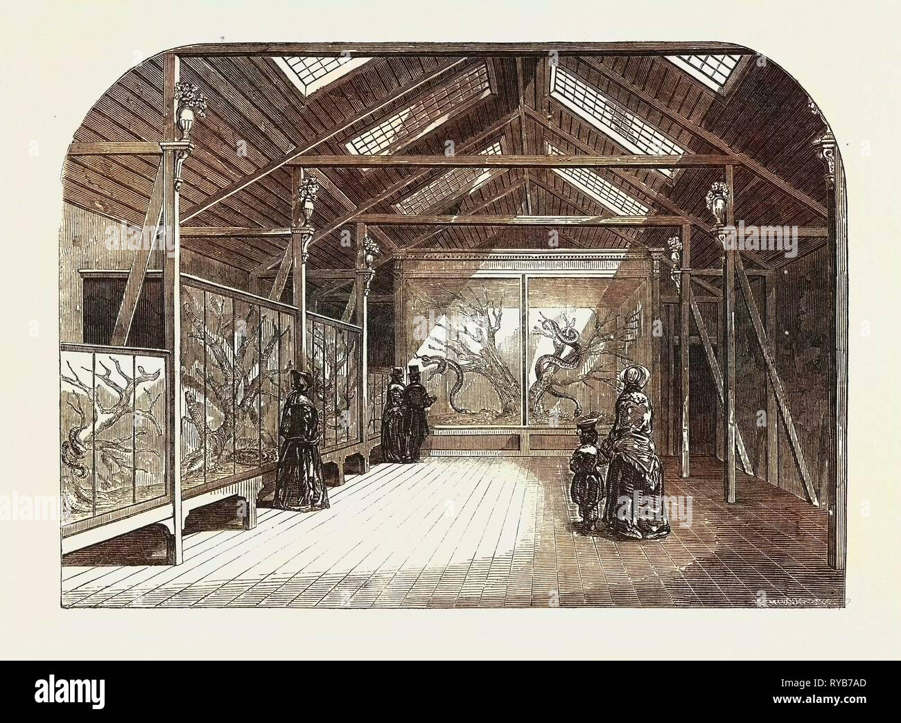 Reptile house london zoo hires stock photography and images Alamy