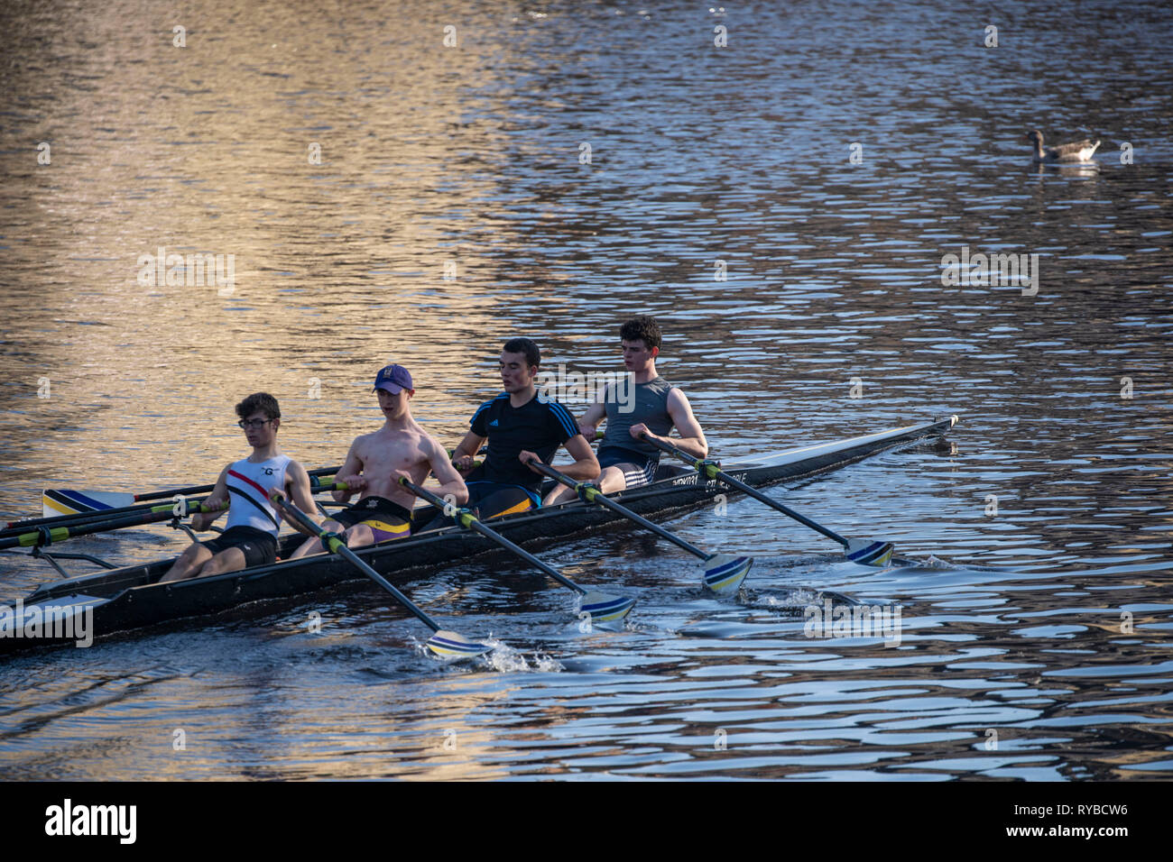 Four men in a Canoe rowing up a river on a training session,River Ouse