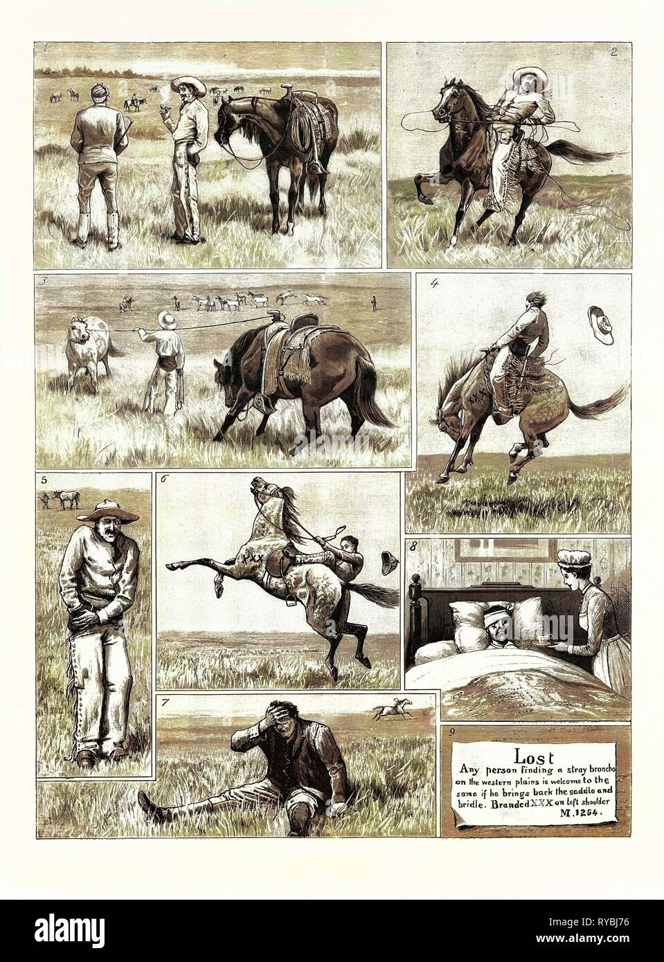 My First and Last Experience of a Broncho: 1. 'Well, Sir, I Guess There Ain'T a Quieter Lot of Bronchos in Manitoba.', 2. Missed!, 3. Caught! the Pick of the Band, 4. I Bargain to Have Him Thoroughly Broken, 5. 'Sold! Both of Them!', 6. Thoroughly Broken, 7. Oh!, 8. The Consequence Stock Photo