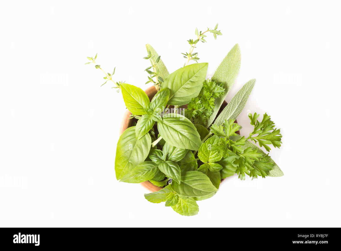 Fresh herbs on white background Stock Photo
