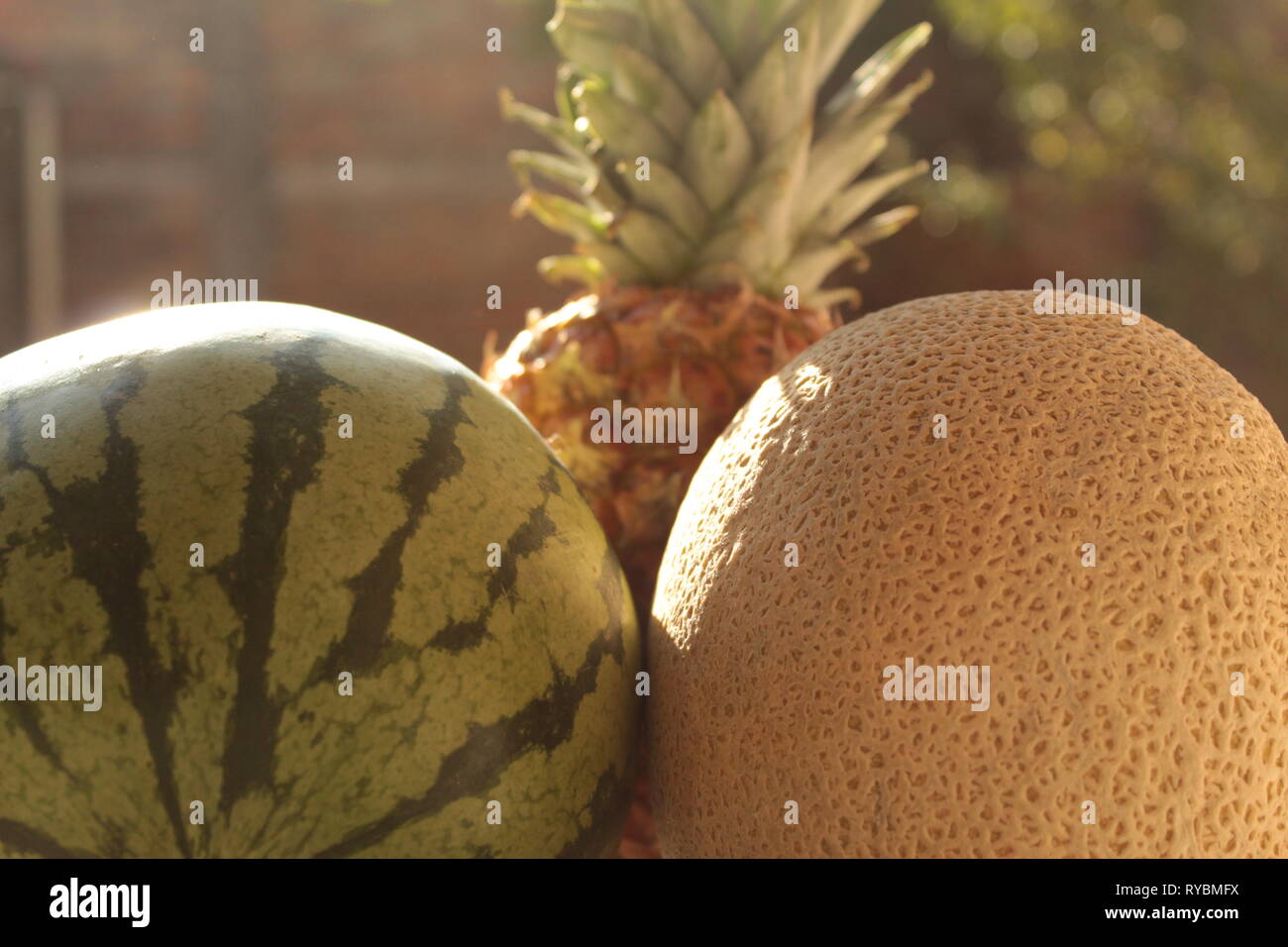close up de bodegón de frutas tropicales como piña, sandia y melón foto tomada en mi jardín utilizando un lente 18-55mm marca canon Stock Photo