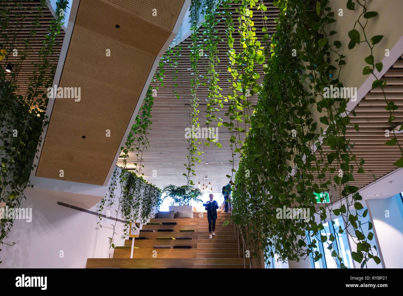 Woollahra library is totally unique in that it is surrounded by greenery inside. The entrance has a vertical garden wall where books can be returned.T Stock Photo