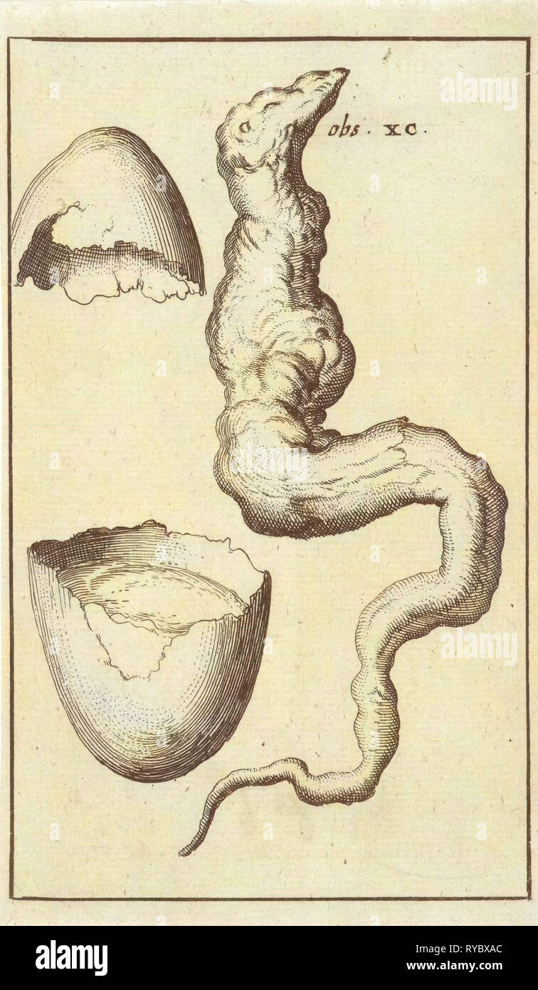 Anatomical picture IX, Jan Luyken, Jan Claesz ten Hoorn, 1680 - 1688 Stock Photo