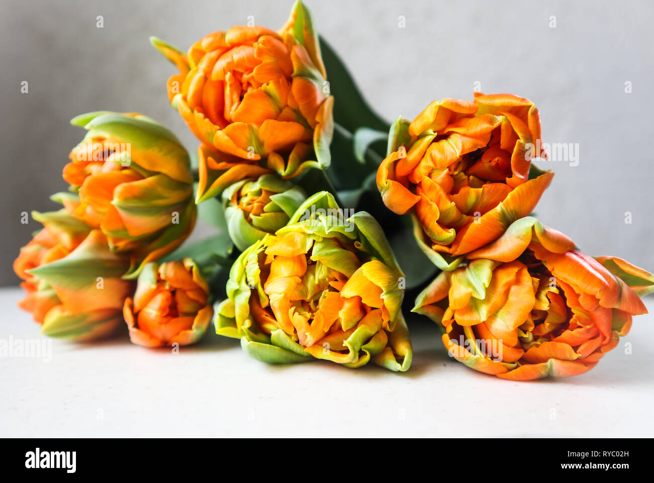 Orange petals backdrop hi-res stock photography and images - Alamy