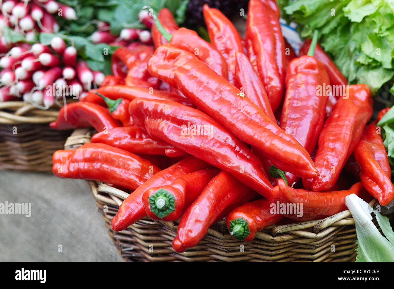 Carmen Italian Sweet Chili Peppers Stock Photo Alamy