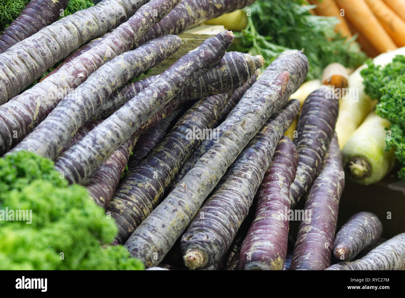 Twice the amount of alpha and beta carotene hires stock photography