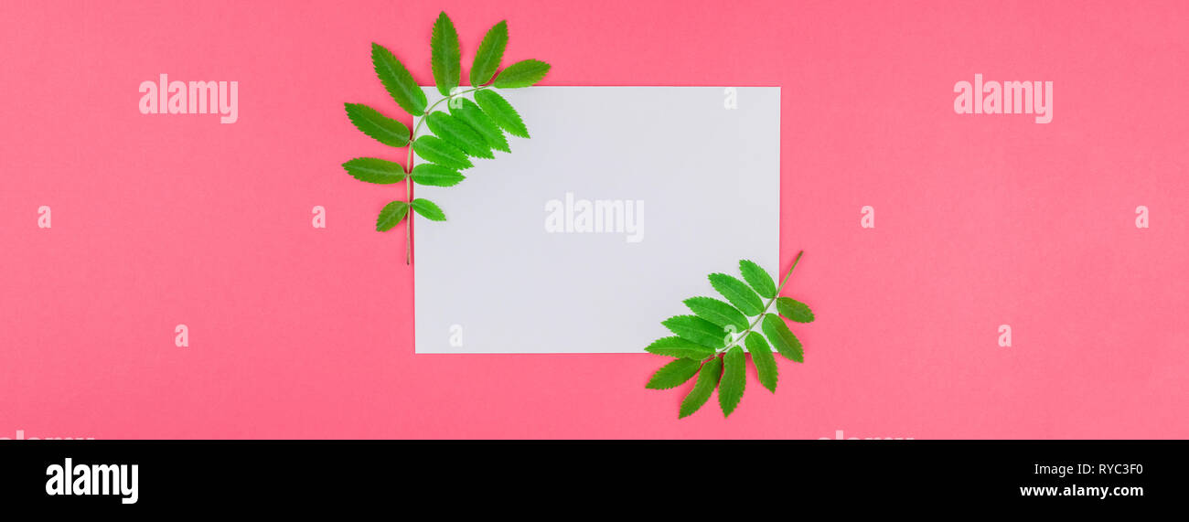 Creative flat lay top view white letter mock up with fresh green rowan ...