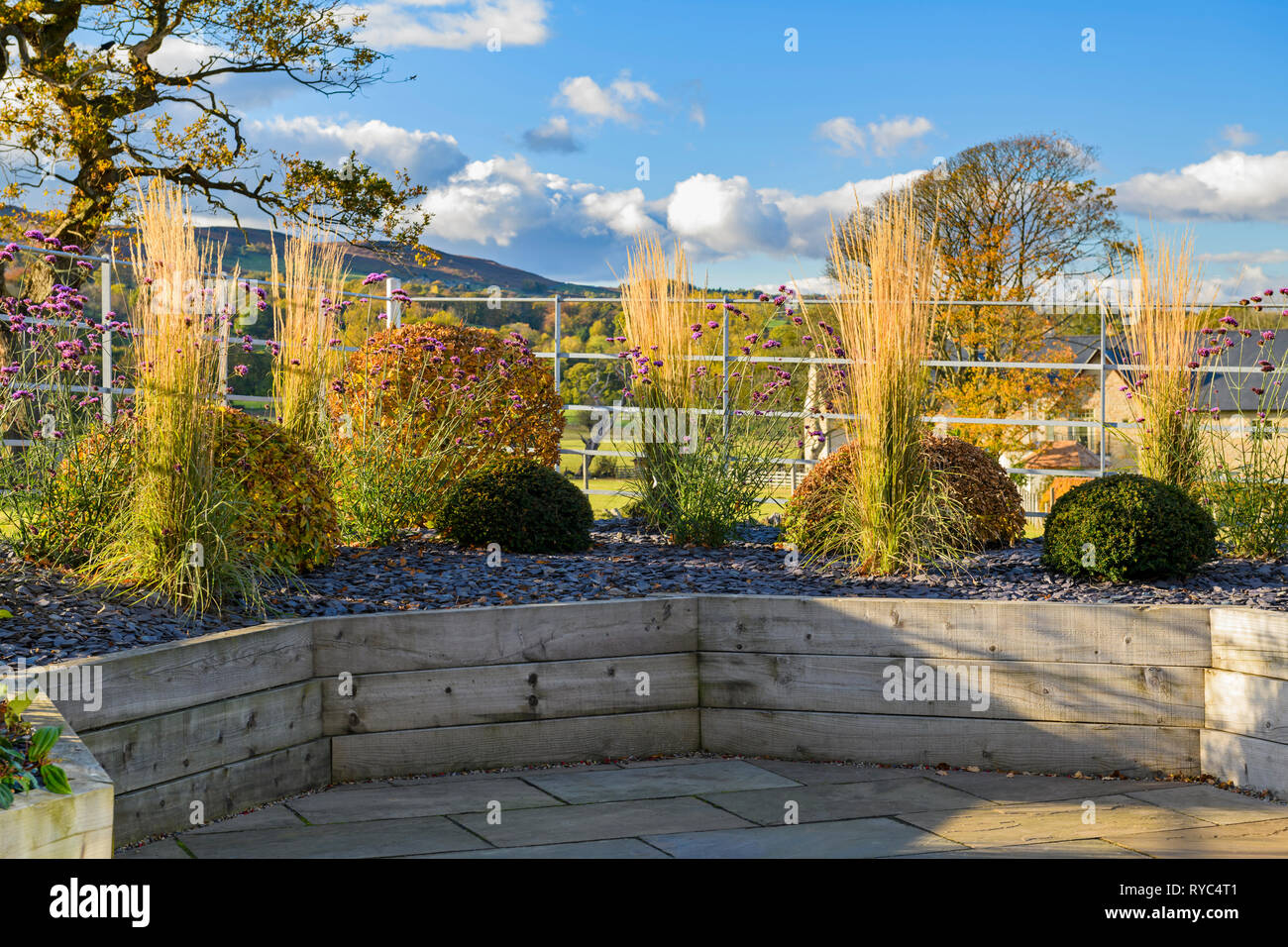 Autumn colours in beautiful, private garden, Yorkshire, England, UK - stylish, contemporary design, hard landscaping & planting in timber raised beds. Stock Photo