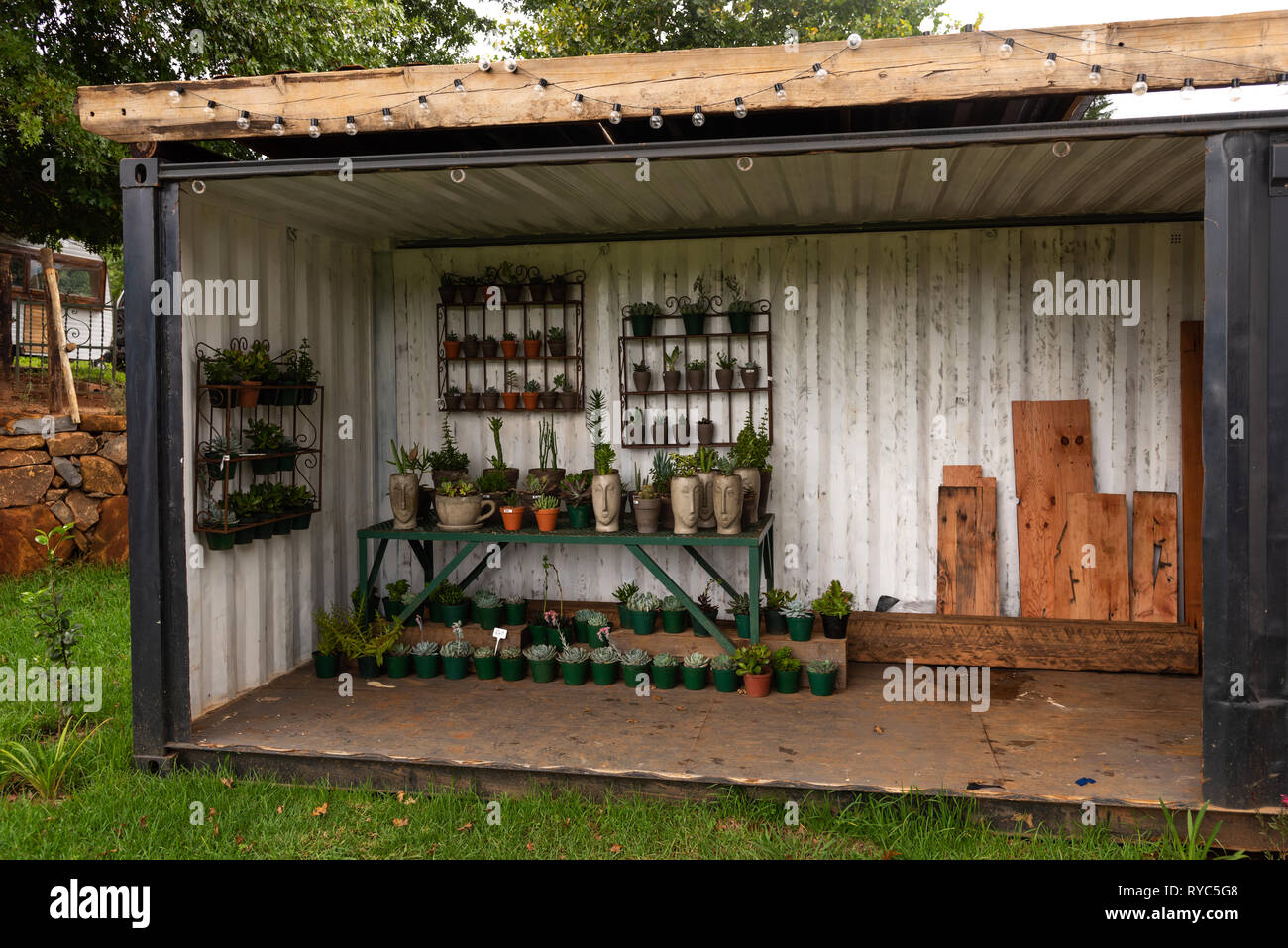 A small plant nursery in the Natal Midlands. Stock Photo