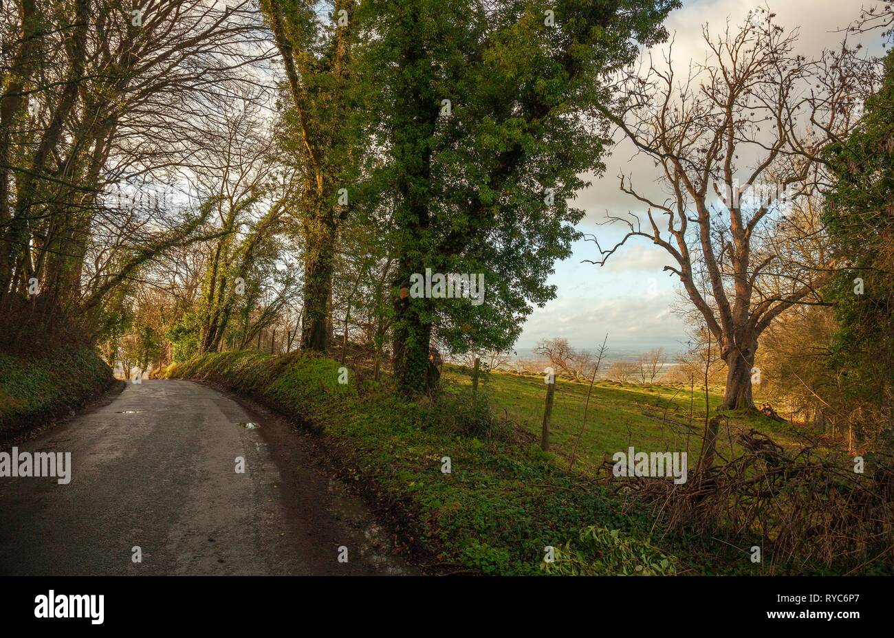 Cotswold lane to Willersey, Gloucestershire, England Stock Photo Alamy