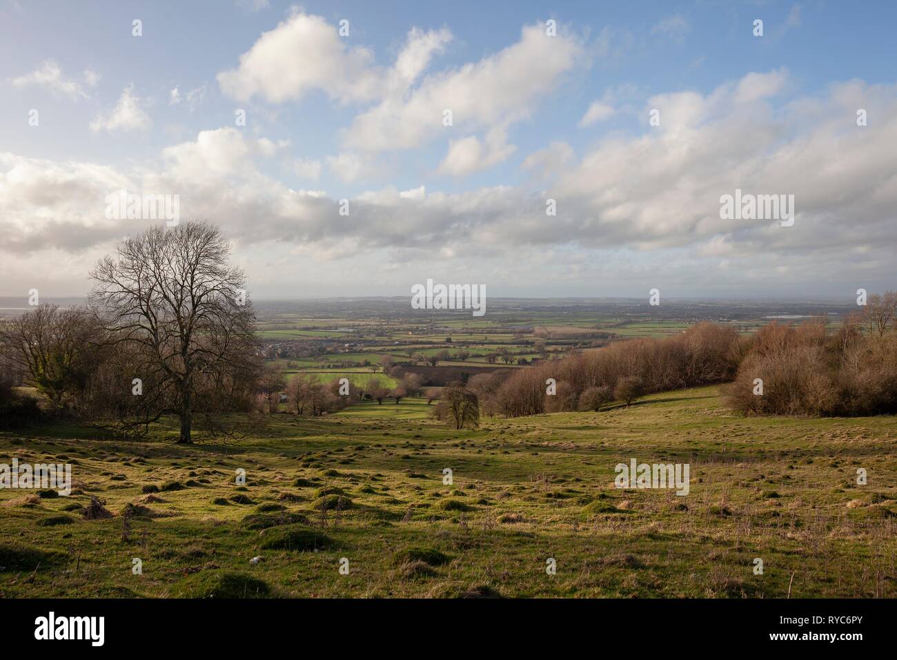 Farmland above Willersey, Cotswolds, Gloucestershire, England Stock Photo