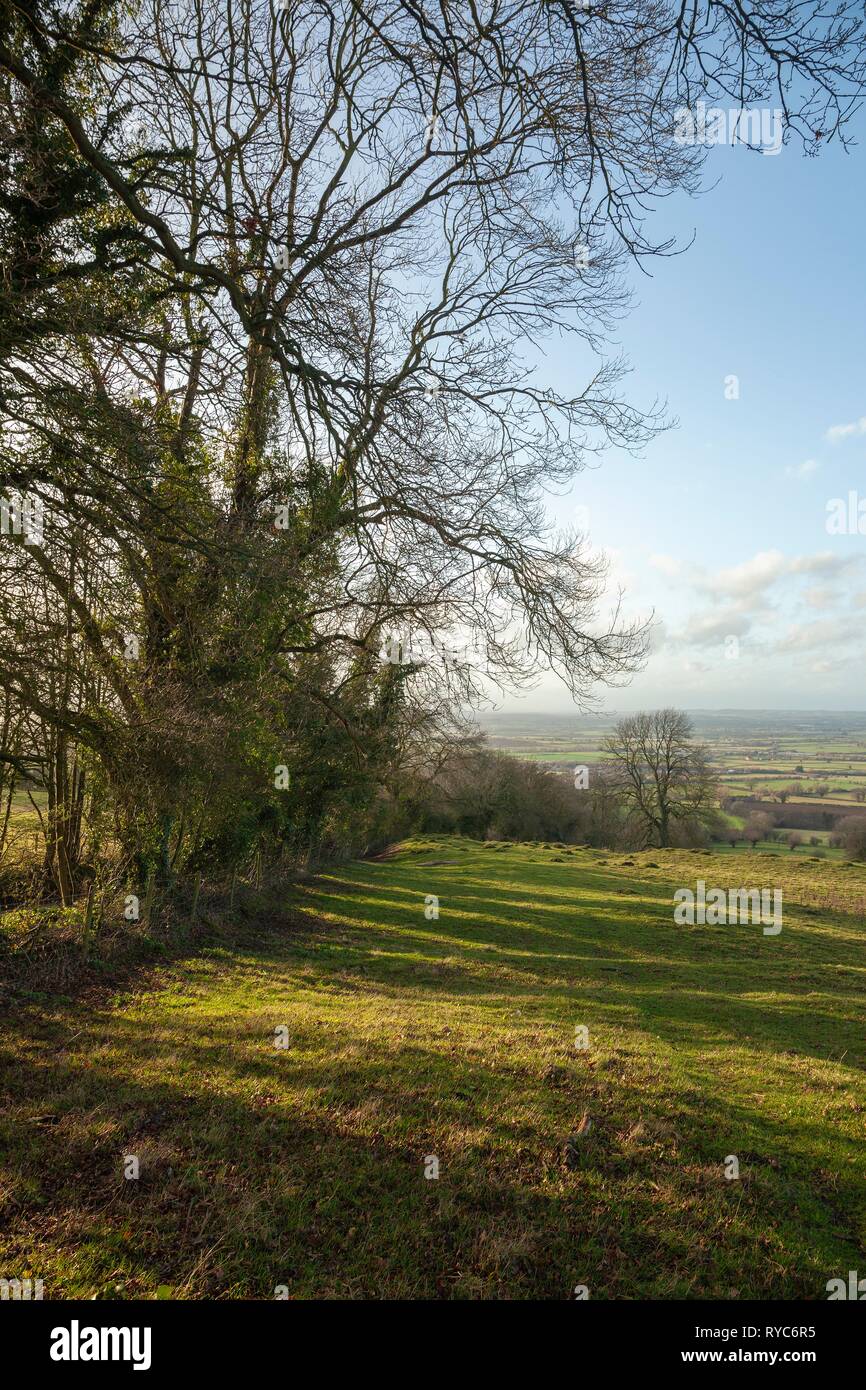 Farmland above Willersey, Cotswolds, Gloucestershire, England Stock Photo