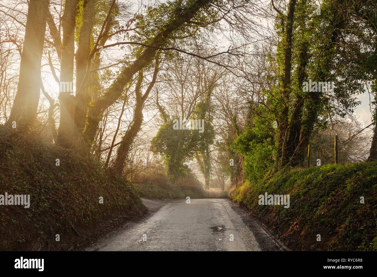 Cotswold lane to Willersey, Gloucestershire, England Stock Photo Alamy