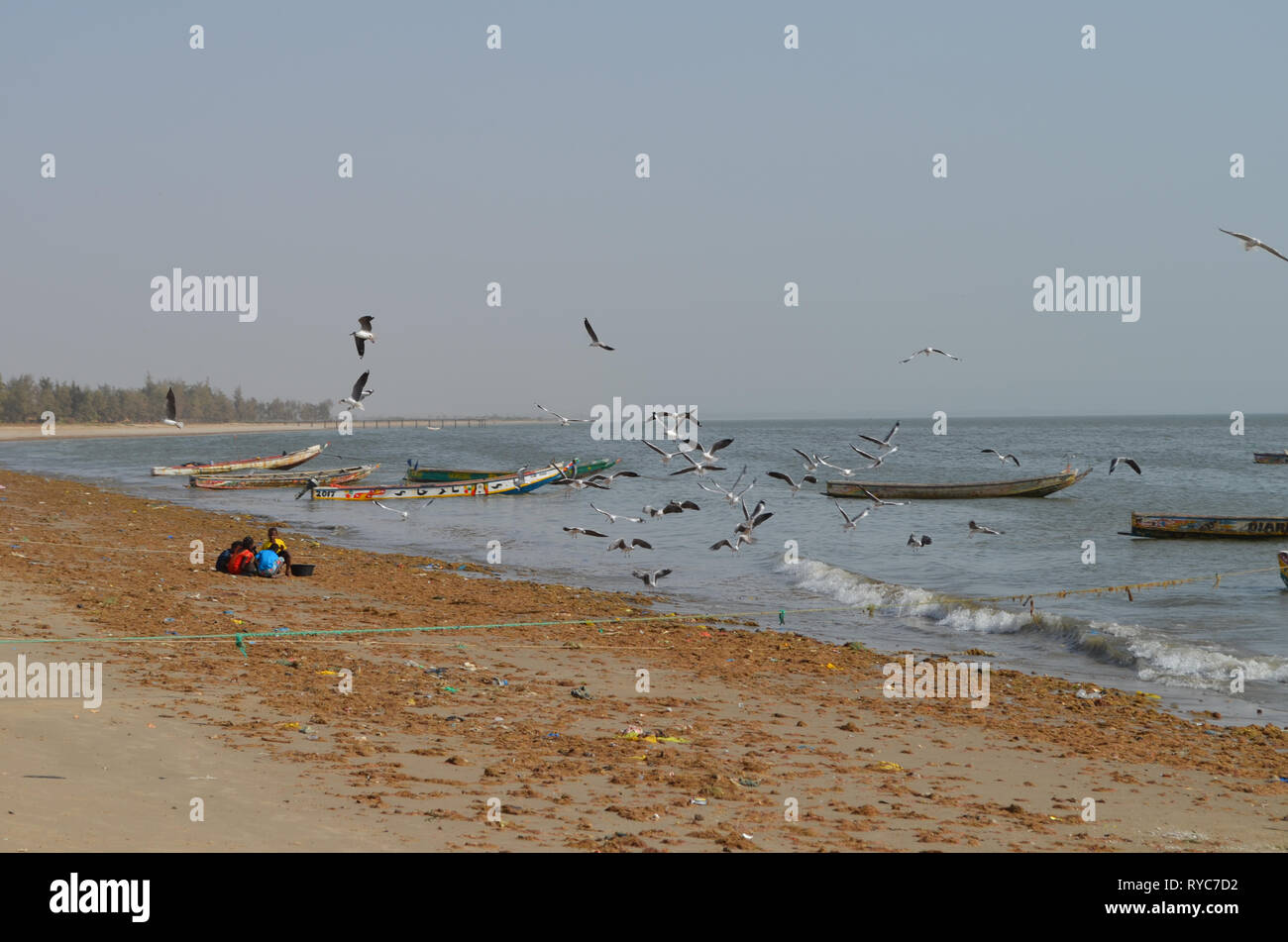 Artisanal pirogues at the beach of Djiffère, Senegal Stock Photo