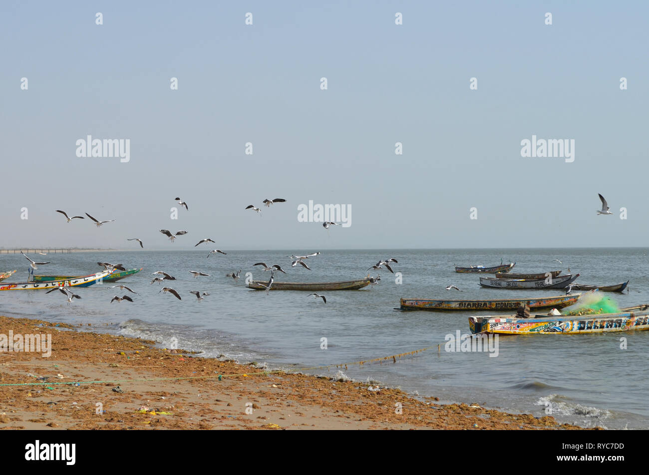 Artisanal pirogues at the beach of Djiffère, Senegal Stock Photo