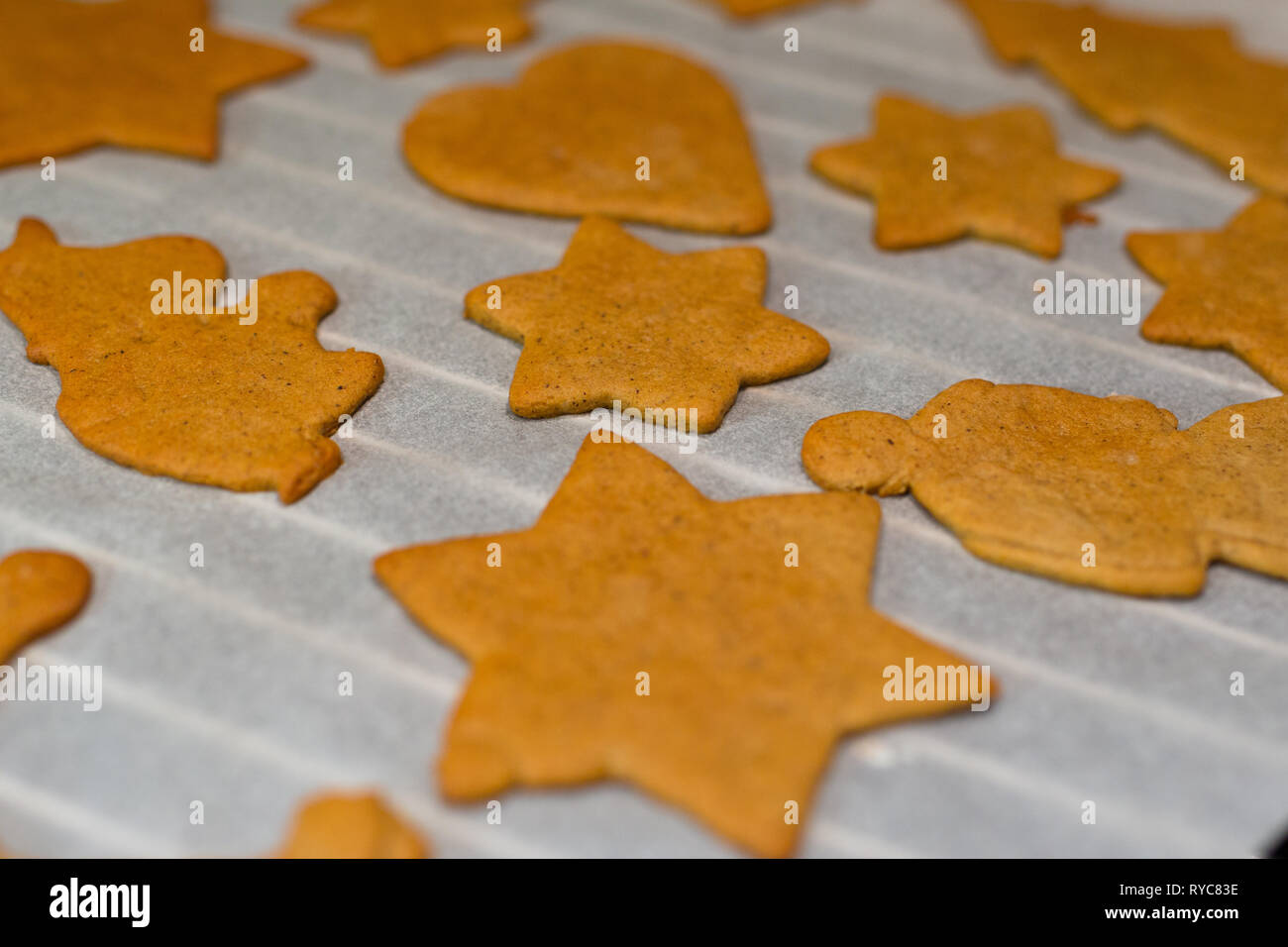 homemade gingerbread on baking plate Stock Photo