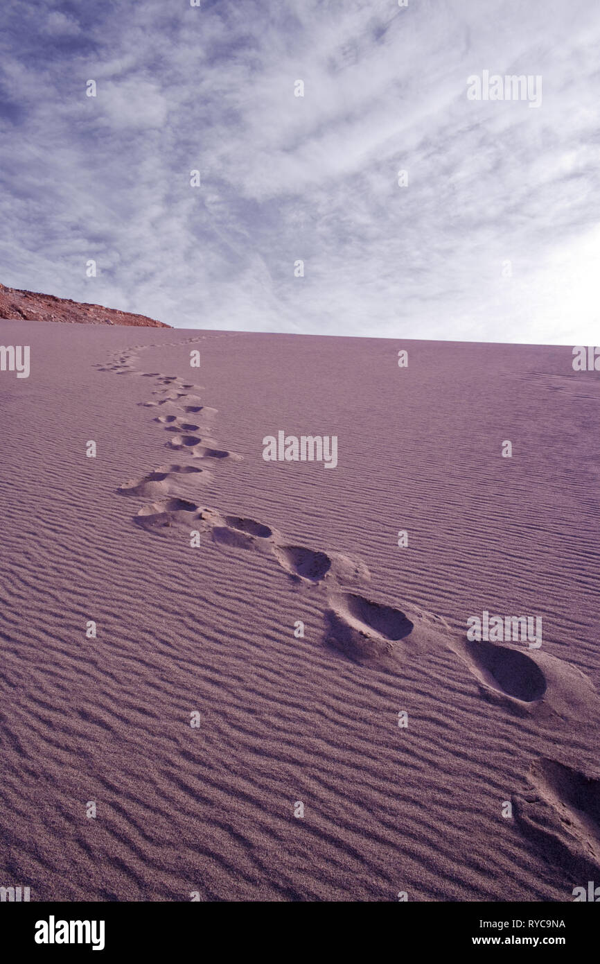 dune tallister boot