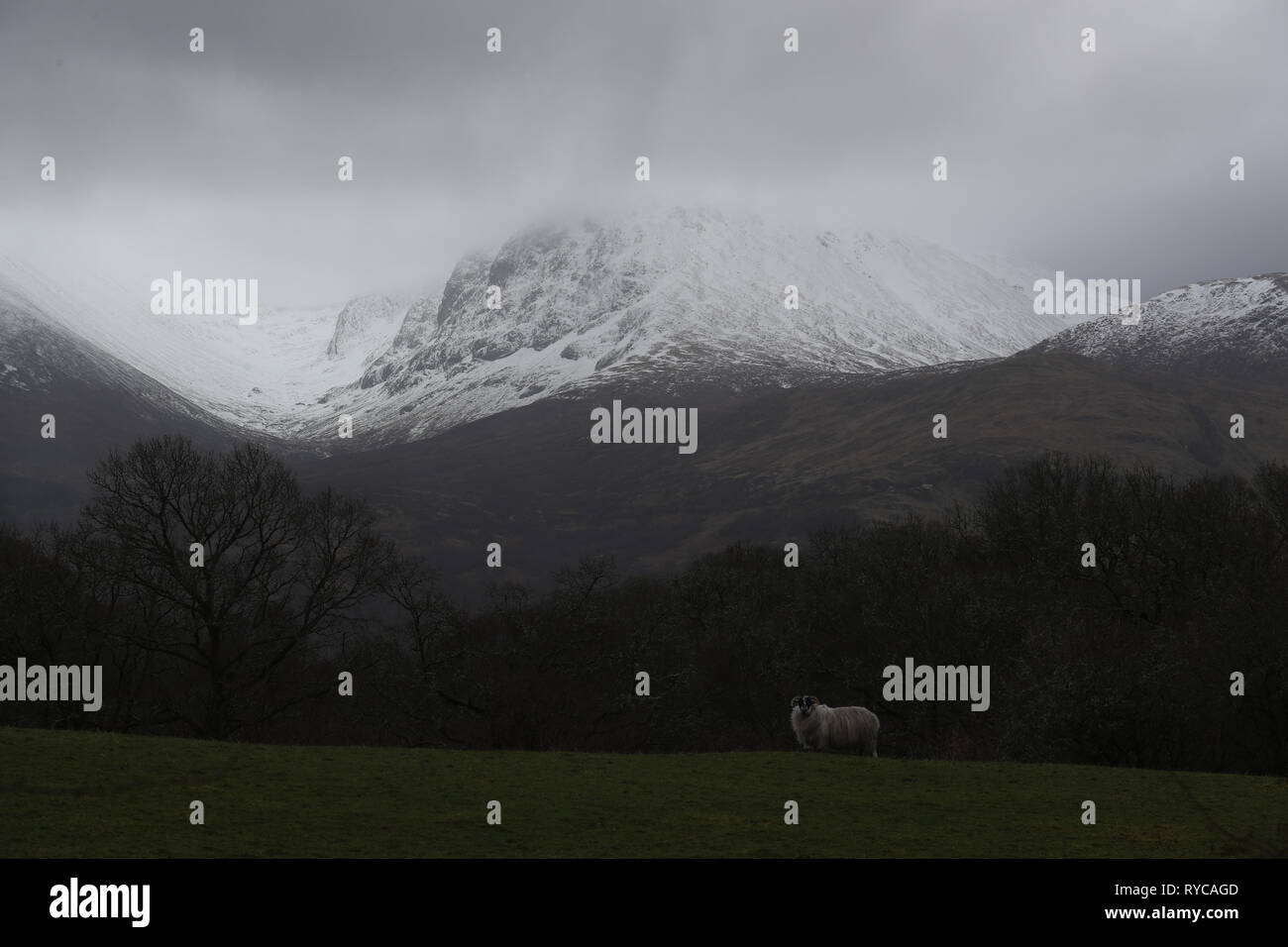 A view of the North Face of Ben Nevis mountain in Scotland. A young climber is being treated for serious injuries after an avalanche on the UK's highest mountain 'wiped out' a climbing party, killing three of them. Stock Photo