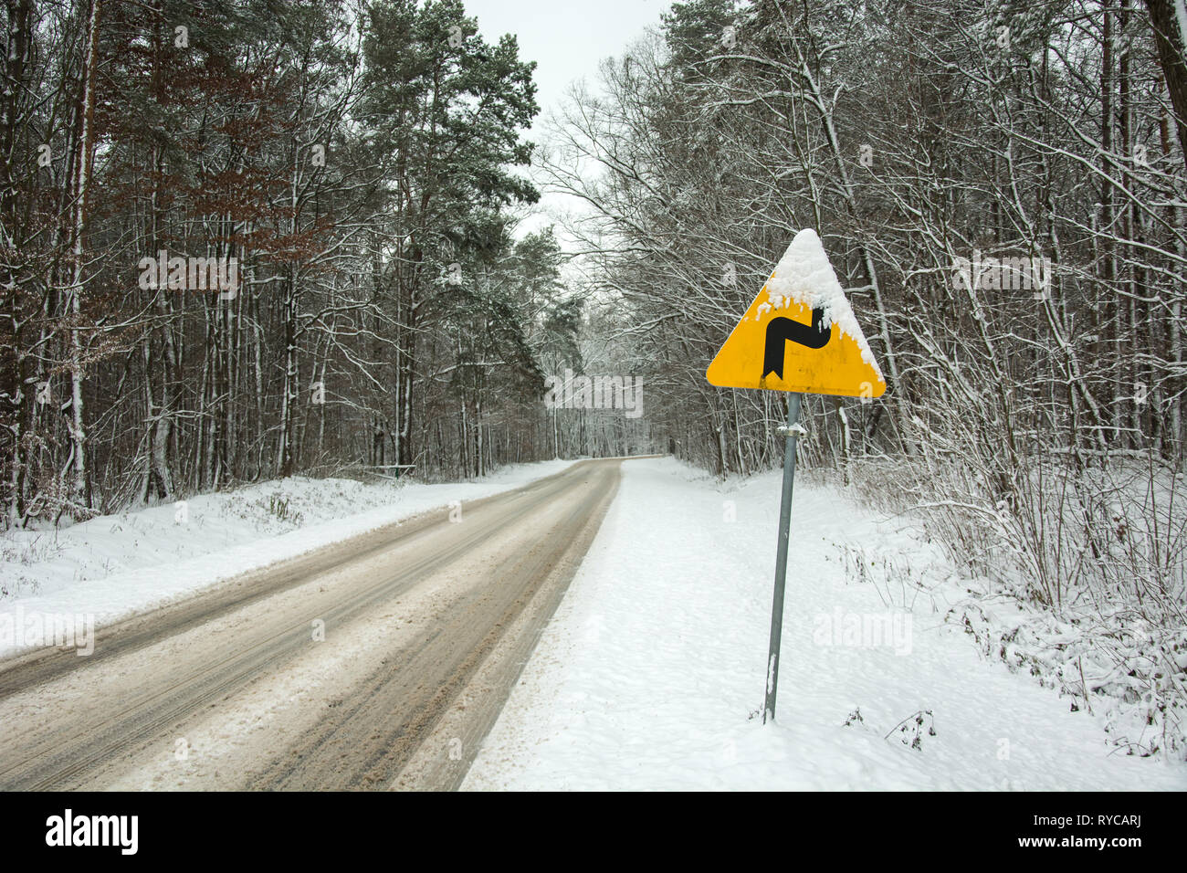 Yellow warning road sign - dangerous bends, first right - standing by the road through the forest - winter view Stock Photo