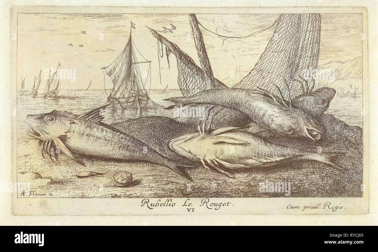 Fish on the beach, Albert Flamen, 1664 Stock Photo