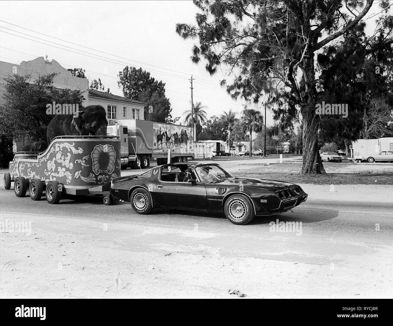 CAR PULLS TRAILER WITH ELEPHANT, SMOKEY AND THE BANDIT RIDE AGAIN, 1980 Stock Photo