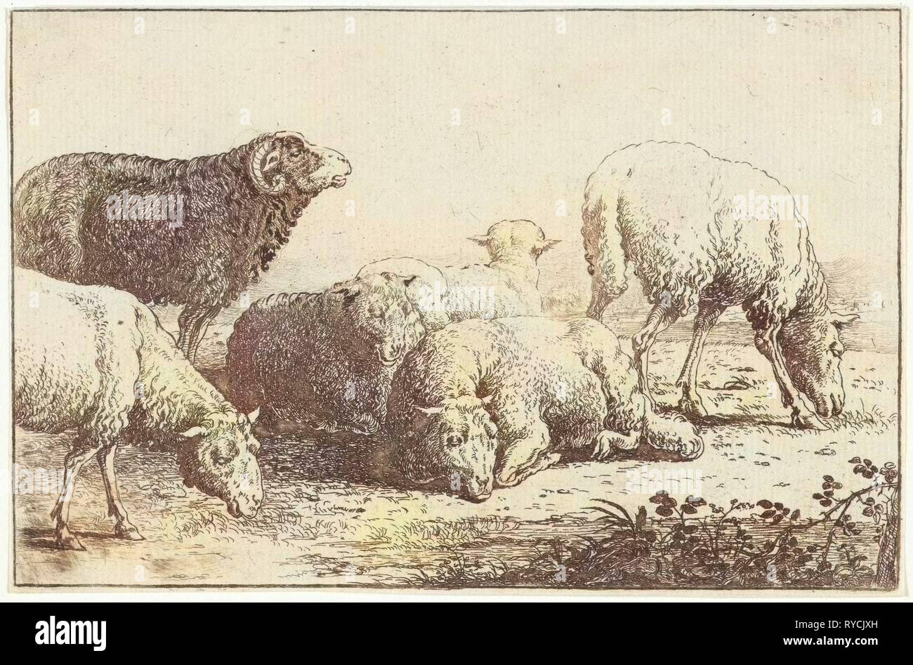 Sheep, Jan van den Hecke (I), 1656 Stock Photo