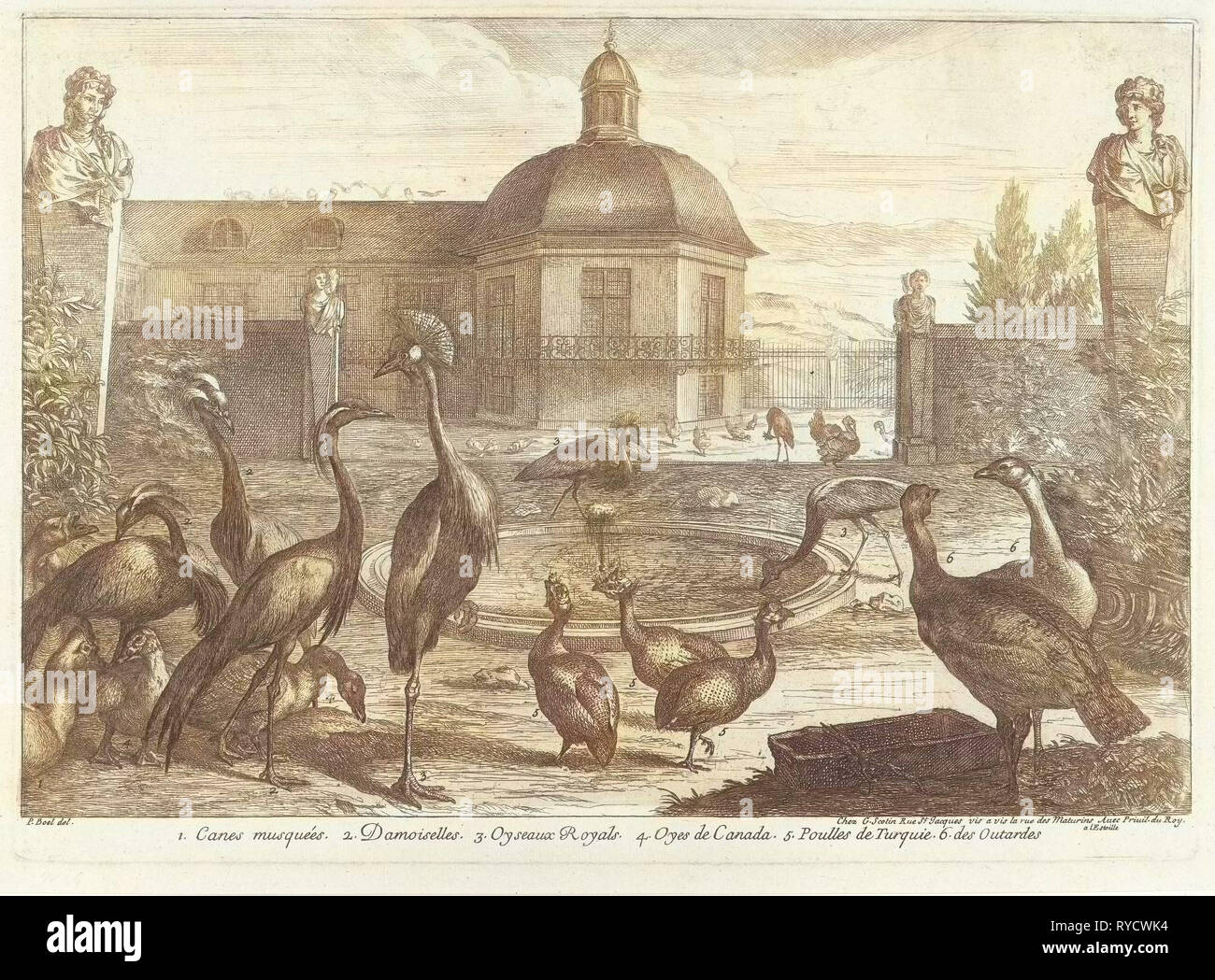 Birds, Gérard Scotin (I), Lodewijk XIV (koning van Frankrijk), 1670 - 1674 Stock Photo