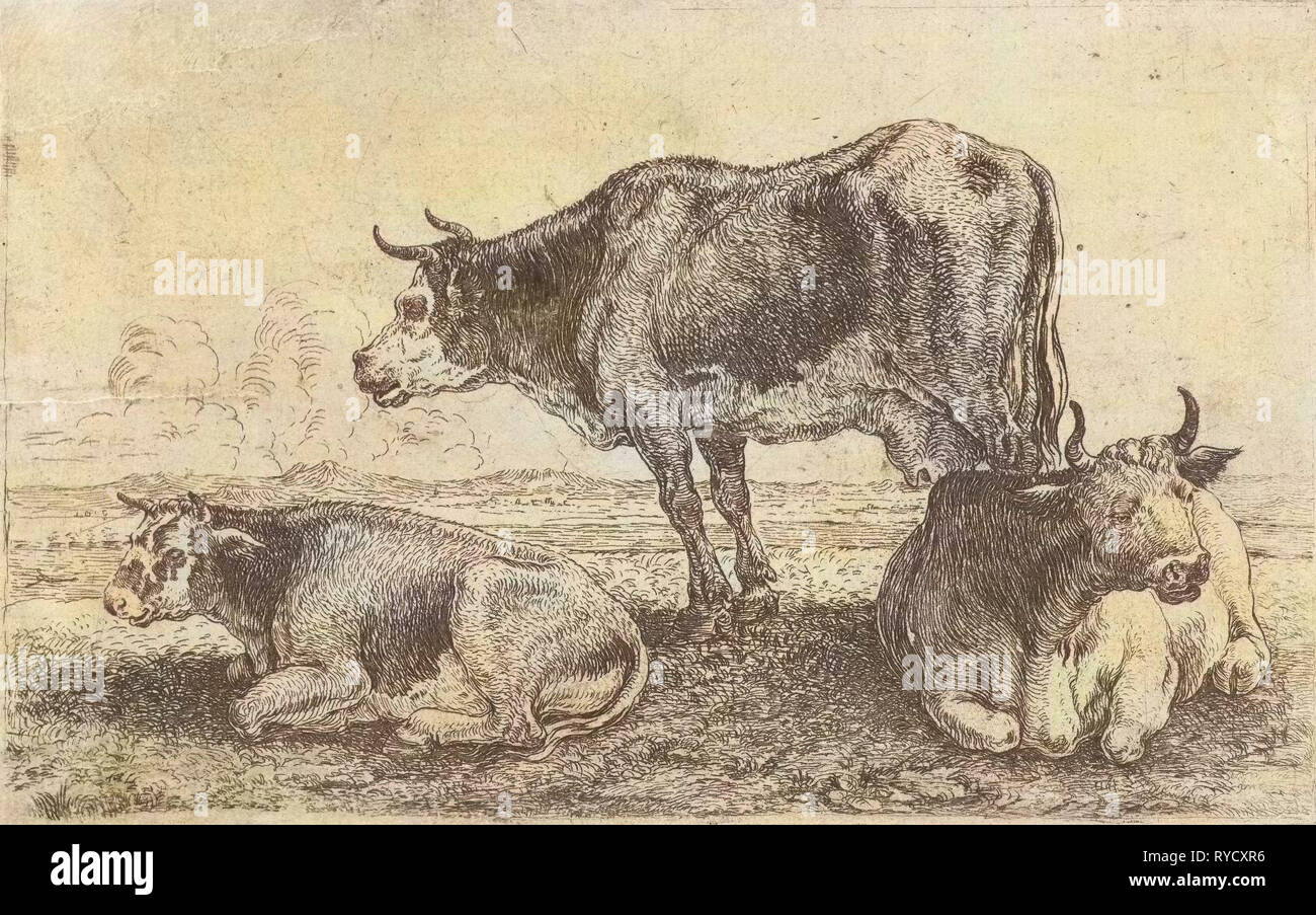Three cows, Jan van den Hecke (I), 1656 Stock Photo
