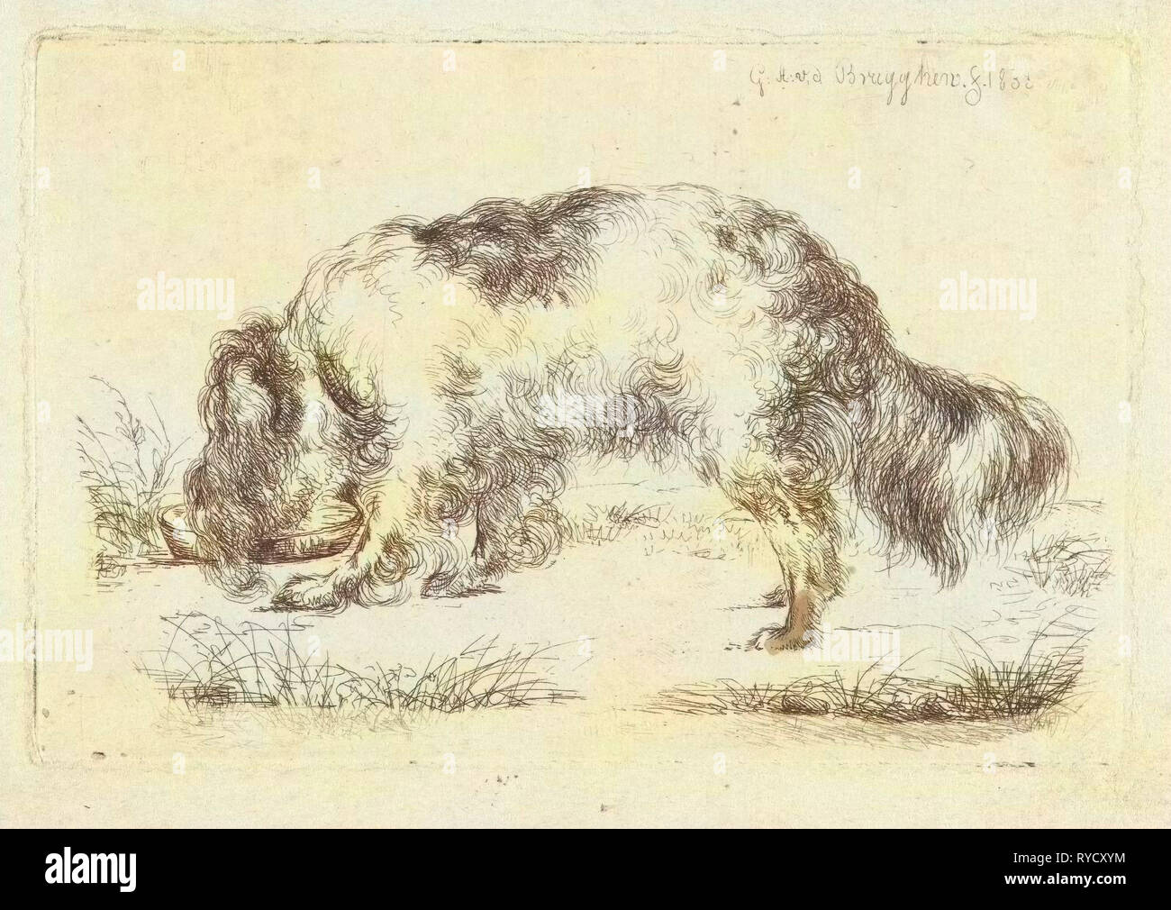 Drinking dog, Guillaume Anne van der Brugghen, 1832 Stock Photo