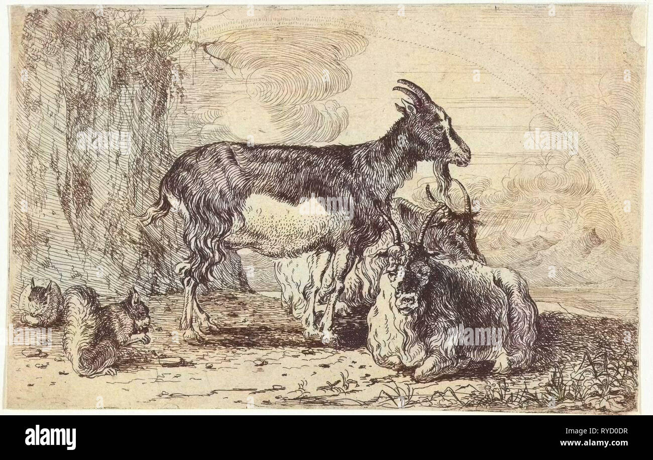 Goats, Jan van den Hecke (I), 1656 Stock Photo