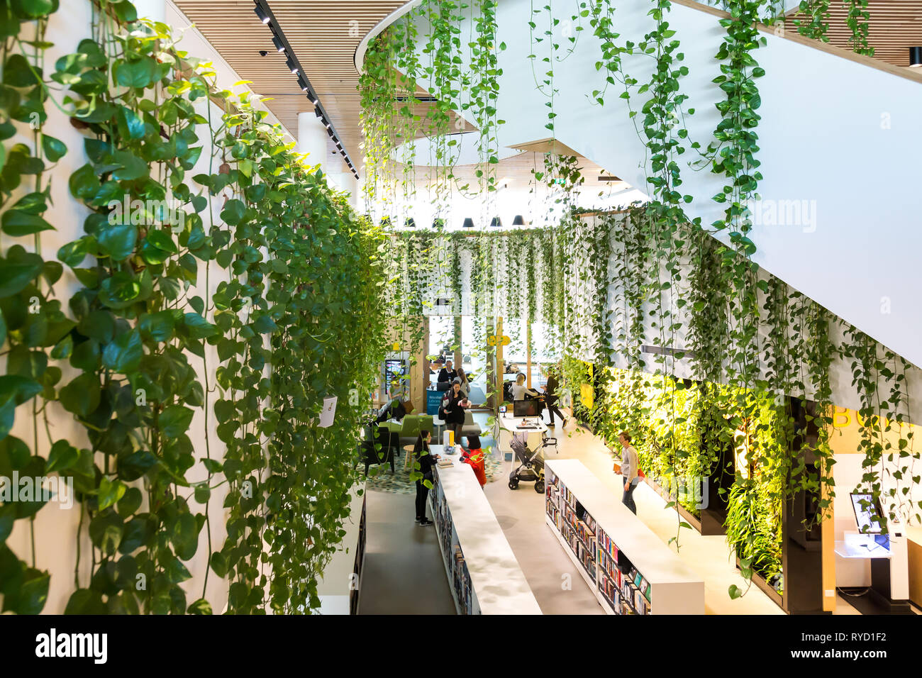 Woollahra library is totally unique in that it is surrounded by greenery inside. The entrance has a vertical garden wall where books can be returned.T Stock Photo